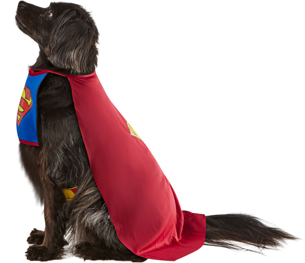Superman Pet Costume