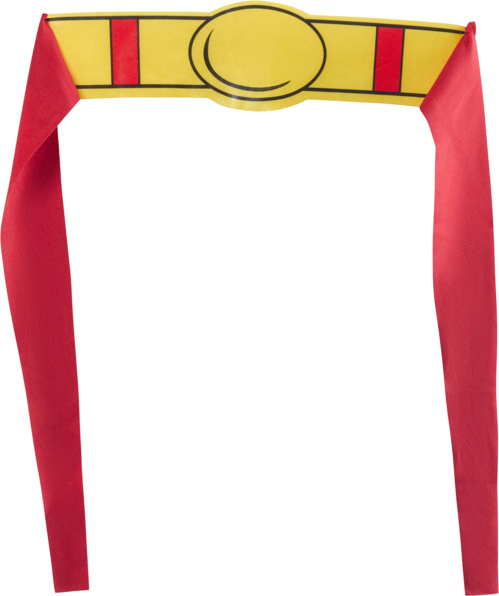 Superman Pet Costume