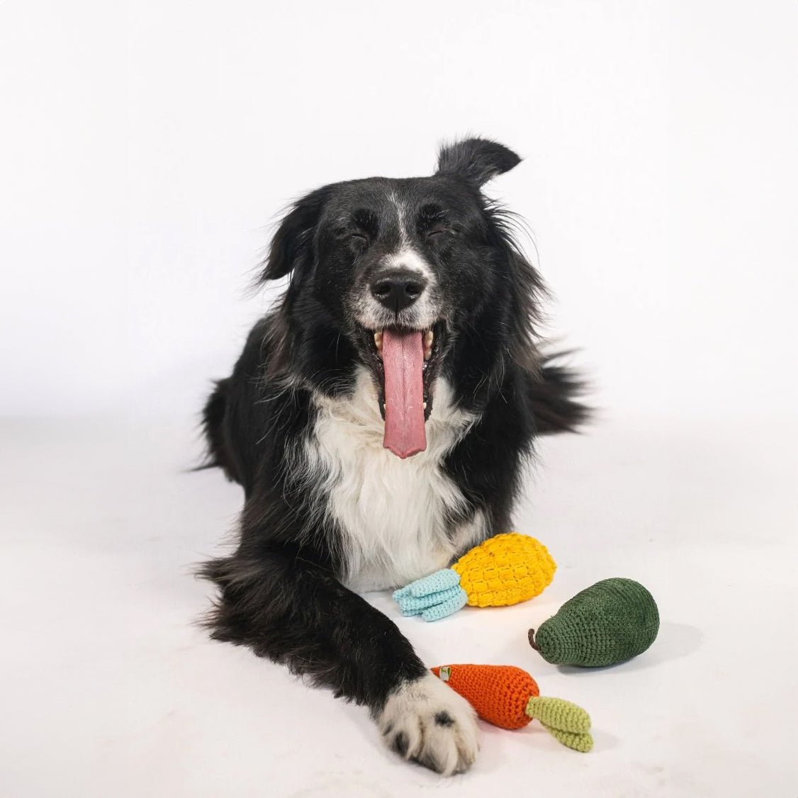 Nina Woof Organic Veggie Toys Bundle